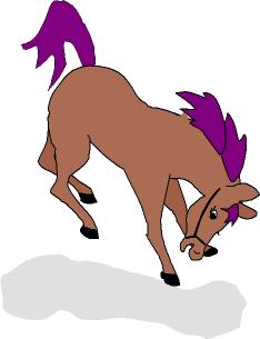horse jumping